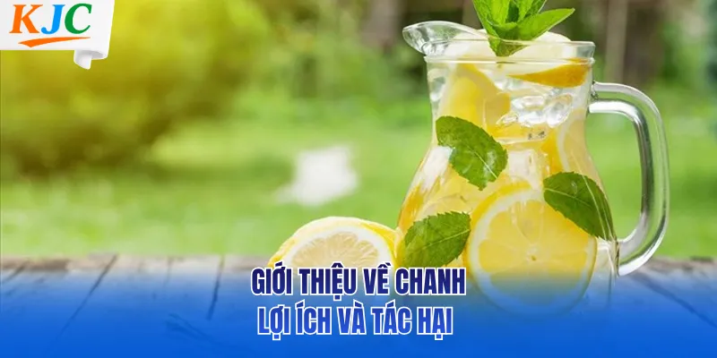 Giới thiệu về chanh – lợi ích và tác hại 